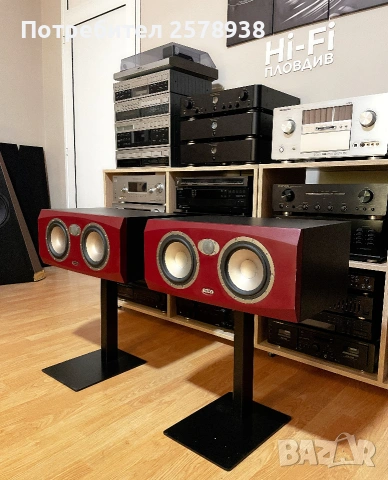 TANNOY Reveal 66 P - в перфектно състояние !, снимка 3 - Тонколони - 54980851
