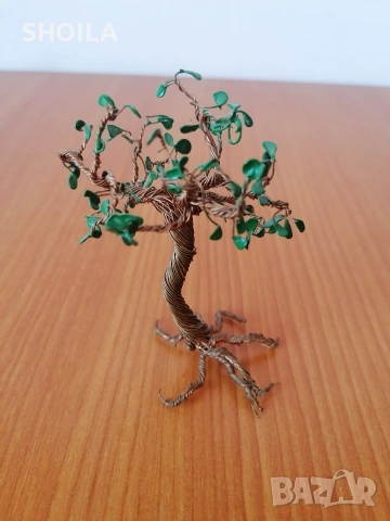 Декоративно дърво, снимка 2 - Други - 54316911