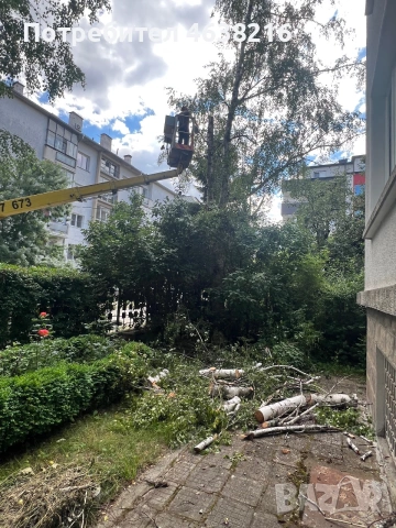     Косене на трева и рязане на опасни дървета, снимка 6 - Други ремонти - 55130350
