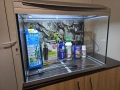 Продавам 60 литра аквариум, снимка 2