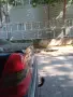 Спойлерu лип за багажник и стъкло Mercedes w202 Седан Мерцедес в202, снимка 3