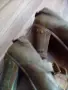 Дамски сандали естествена кожа, снимка 17