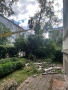    Косене на трева и рязане на опасни дървета, снимка 6