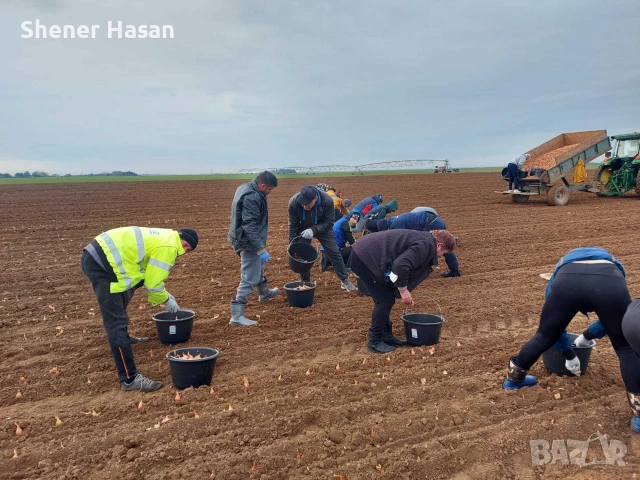 Продавам фейсбук страница с 3366 последователя за набиране на работници за работа в холандия , снимка 5 - Продажба или споделяне на готов бизнес - 55086291