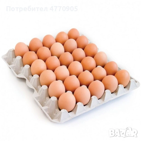 20 Сента Яйцето