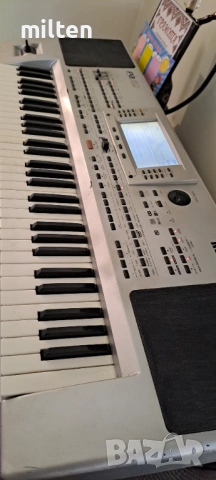 Korg pa80