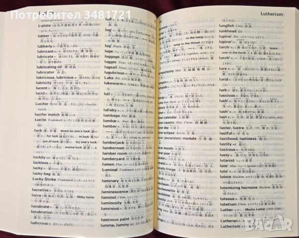 Английско-японски речник / Kenkyusha's Furigana English Japanese Dictionary, снимка 8 - Чуждоезиково обучение, речници - 54957048