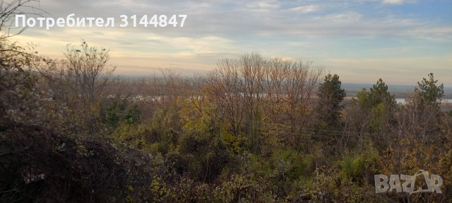 Къща с гледка към Дунава вилна зона 9-ти км град Русе, снимка 2 - Къщи - 54055186