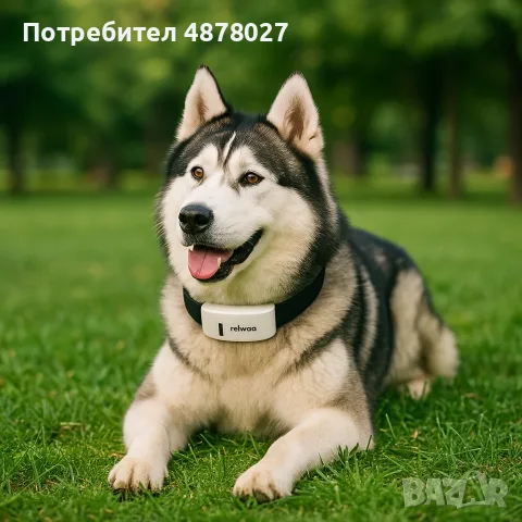 Тракер за домашен любимец - GPS локатор, снимка 7 - За кучета - 55633637