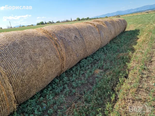 Бали люцерна с трева, снимка 4 - За селскостопански - 55376380