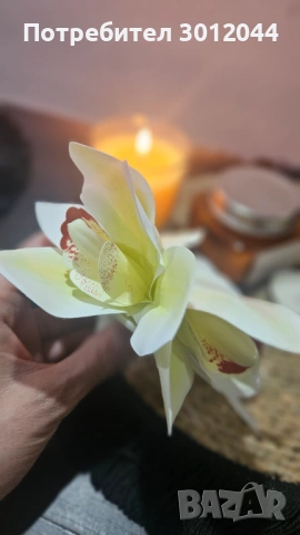 Шноли и скрънчита , снимка 14 - Шноли, диадеми, ленти - 54416651