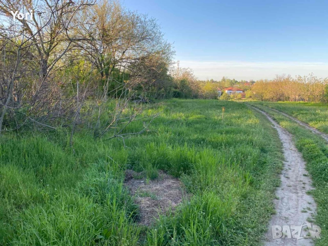 Продава се двор в гр.Козлодуй, снимка 5 - Парцели - 54331540