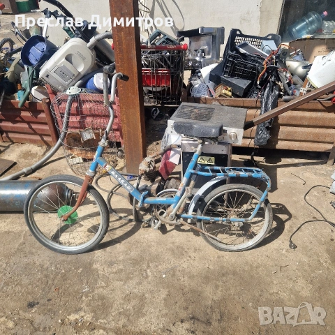 Балканче сгъвайка 