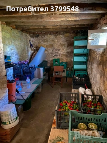 Имот в село Вирове, снимка 17 - Къщи - 54509851