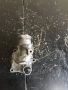 Корпус на термостат за Mercedes Sprinter W906 OM646 2.2 CDI (2006–2011) A6462001215, снимка 2