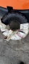 Продавам гуми за мотокар , снимка 3