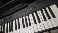 Синтезатор Casio CT-S300+Педал ALESIS ASP-2+Слушалки SONY MDR-V55/ПОДАРЪК/, снимка 1