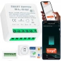 Мини WiFi Смарт Реле 16A за Осветление Tuya Smart Life, снимка 1
