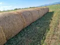 Бали люцерна с трева, снимка 4