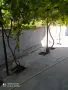 Ограда с бетонни тухли, снимка 4