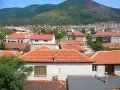 фотоапарат Panasonic Lumix DMC TZ1 , снимка 6