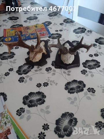 красиви сръндаци, снимка 4 - Антикварни и старинни предмети - 54317069