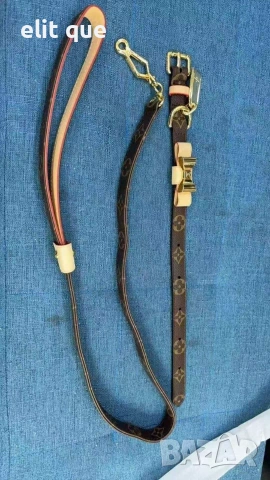Нашийник Louis Vuitton