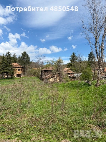 парцел със стара къща в с. Синаговци, Видинско