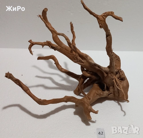 Корен от Азалия /декорация/ 42, снимка 4 - Други - 54102042