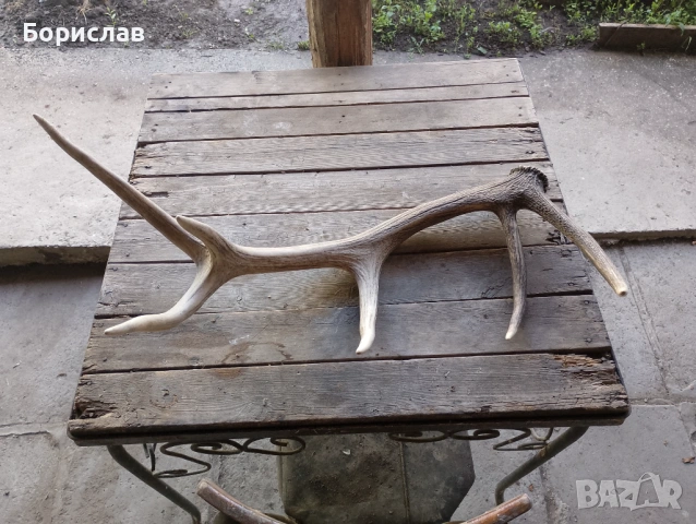 Еленски рог