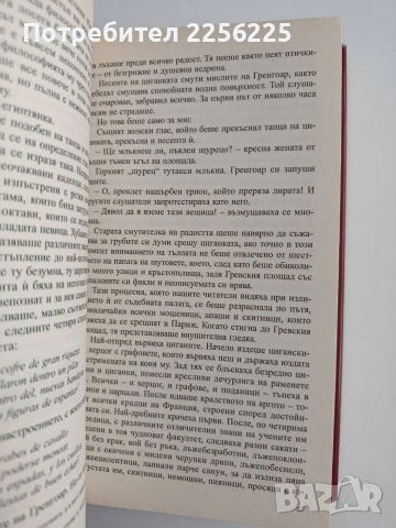 Парижката Света Богородица, снимка 3 - Художествена литература - 54769110
