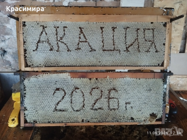 АКАЦИЕВ МЕД 2026, снимка 10 - Пчелни продукти - 55063569