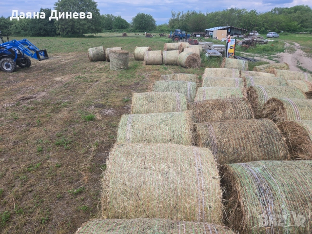 Продавам ролонни бали влажна люцерна, снимка 6 - За селскостопански - 54483625