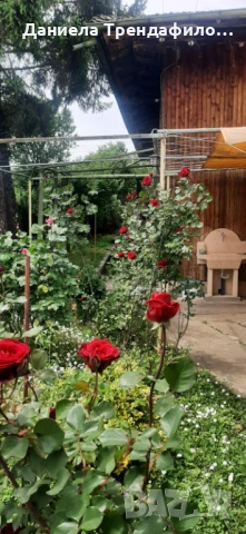 Продава къща в с. Радко Димитриево , снимка 8 - Къщи - 54658151