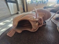 дамски маратонки Nike 39, снимка 6