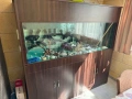 Продава се аквариум със цялото оборудване 1200л, снимка 4