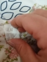 Подарявам бебешки летни дрехи за момиче, снимка 15