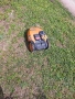 косачка робот worx WRI105SI, снимка 4