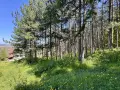 Топ Панорамен парцел с.Тополово, снимка 4