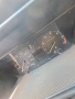 Volkswagen Golf Mk2   1600см3, снимка 9