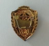 Знак Отличник Советской армии (Отличен войник от Съветската армия). бронз. емайл., снимка 3