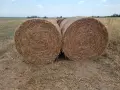 Ролонни бали грах, снимка 1