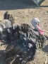 продавам  пуяк на една година, снимка 4