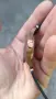 Aquatico bronze CUSN8 , снимка 4