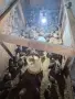 Продавам пъдпъдъци , снимка 3